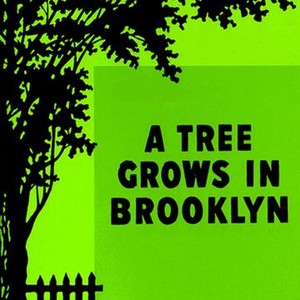 a tree grows in brooklyn short summary