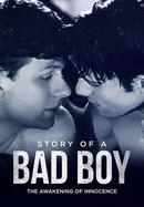 The Story of a Bad Boy poster image
