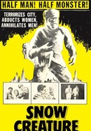 The Snow Creature poster image