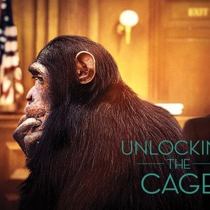 Unlocking the Cage photo 1