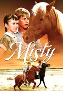 Misty poster image
