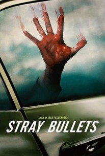 Stray Bullets poster
