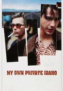 My Own Private Idaho poster image