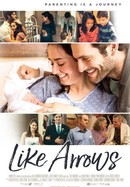 Like Arrows poster image