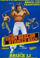 Iron Dragon Strikes Back poster image