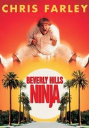 Beverly Hills Ninja poster image