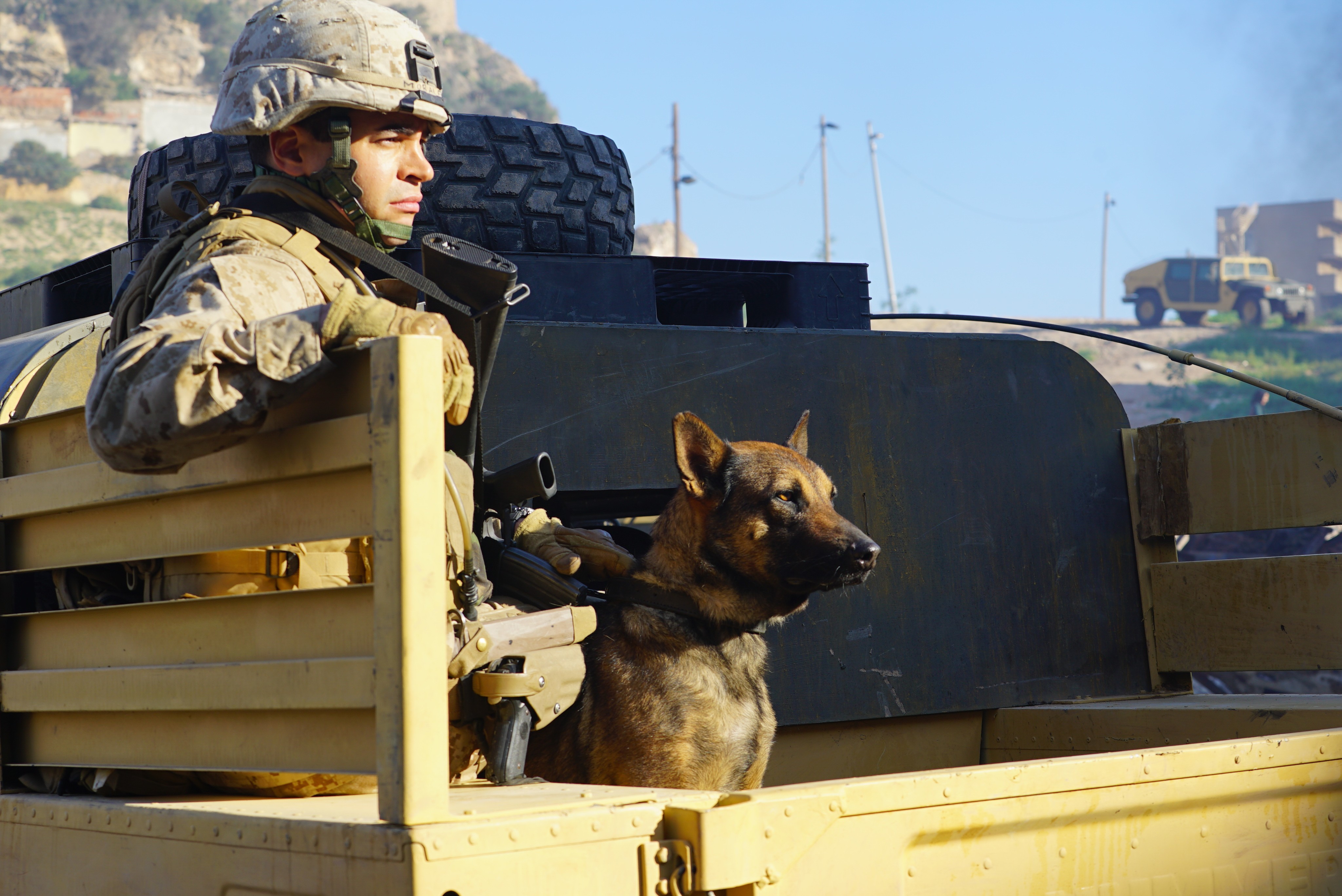 Megan Leavey Today 89 - vmazkgk