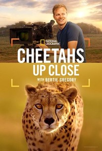 Cheetahs Up Close with Bertie Gregory | Rotten Tomatoes