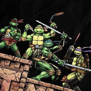 Turtle Power: The Definitive History of the Teenage Mutant Ninja Turtles photo 14