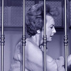 Lady in a Cage (1964) photo 1