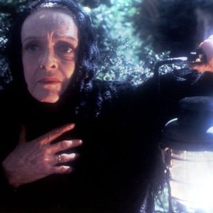 The Watcher in the Woods (1980)
