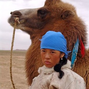 TUYA'S MARRIAGE, (aka TUYA DE HUN SHI), Nan Yu, 2006. ©Music Box Films