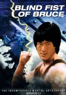 Blind Fist of Bruce poster image