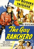 The Gay Ranchero poster image
