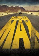 The Madness of Max poster image