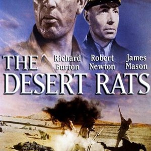 The Desert Rats photo 18
