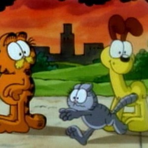 Garfield and Friends: Season 3 - Rotten Tomatoes