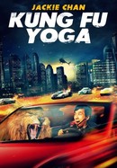 Kung Fu Yoga poster image