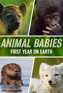 Animal Babies: First Year on Earth: Limited Series poster image