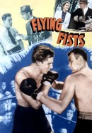 Flying Fists poster image