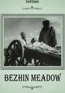 Bezhin Meadow poster image