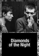 Diamonds of the Night poster image