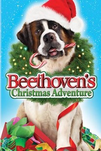 Watch trailer for Beethoven's Christmas Adventure