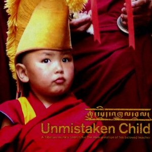 Unmistaken Child (2008) photo 16
