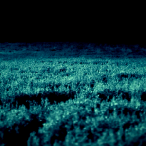 Skinwalker Ranch photo 12