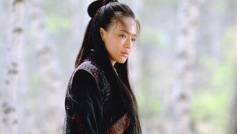 The Assassin - Rotten Tomatoes