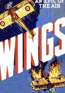 Wings poster image