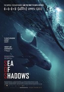 Sea of Shadows poster image