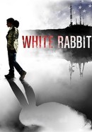 White Rabbit poster image