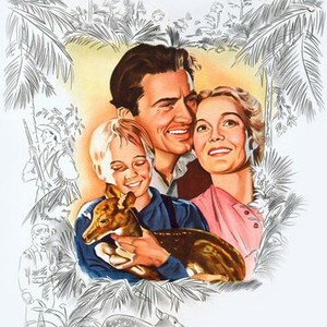 "The Yearling photo 12"