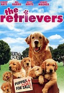 The Retrievers poster image