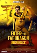 Enter the Fat Dragon poster image