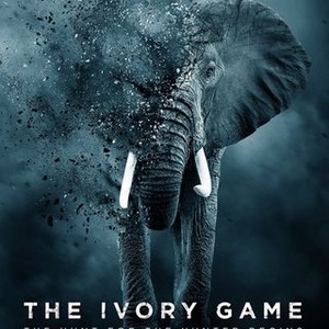 The Ivory Game photo 13