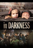 In Darkness poster image