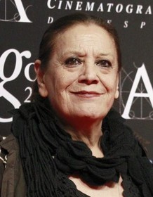 Terele Pavez