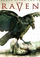 The Raven poster image