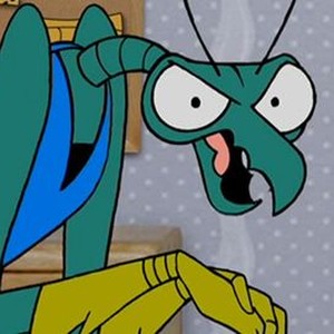 brak zorak