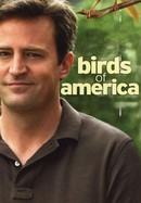 Birds of America poster image