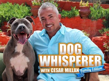 Its all about hotsell family cesar millan