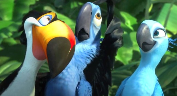 Rio Birds Film
