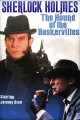 The Hound of the Baskervilles