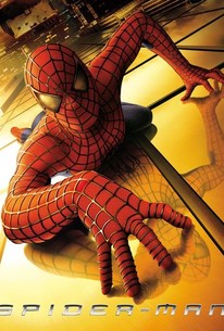 The Amazing Spider-Man - Rotten Tomatoes