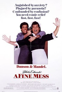 Watch trailer for A Fine Mess