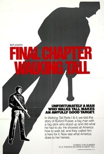 Watch trailer for Final Chapter: Walking Tall