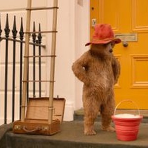 "Paddington 2 photo 6"