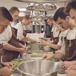 Stage: The Culinary Internship - Rotten Tomatoes